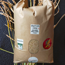 令和7年産新米 厳選特級有機米！「ゆめぴりか」